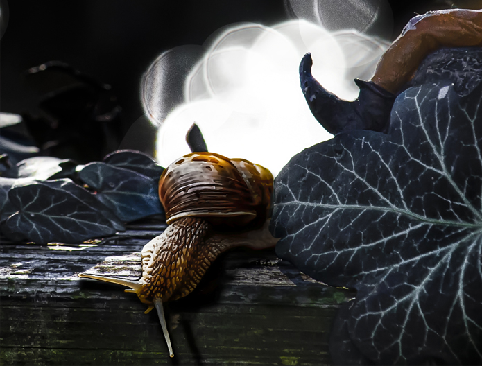 placeholder image-sq