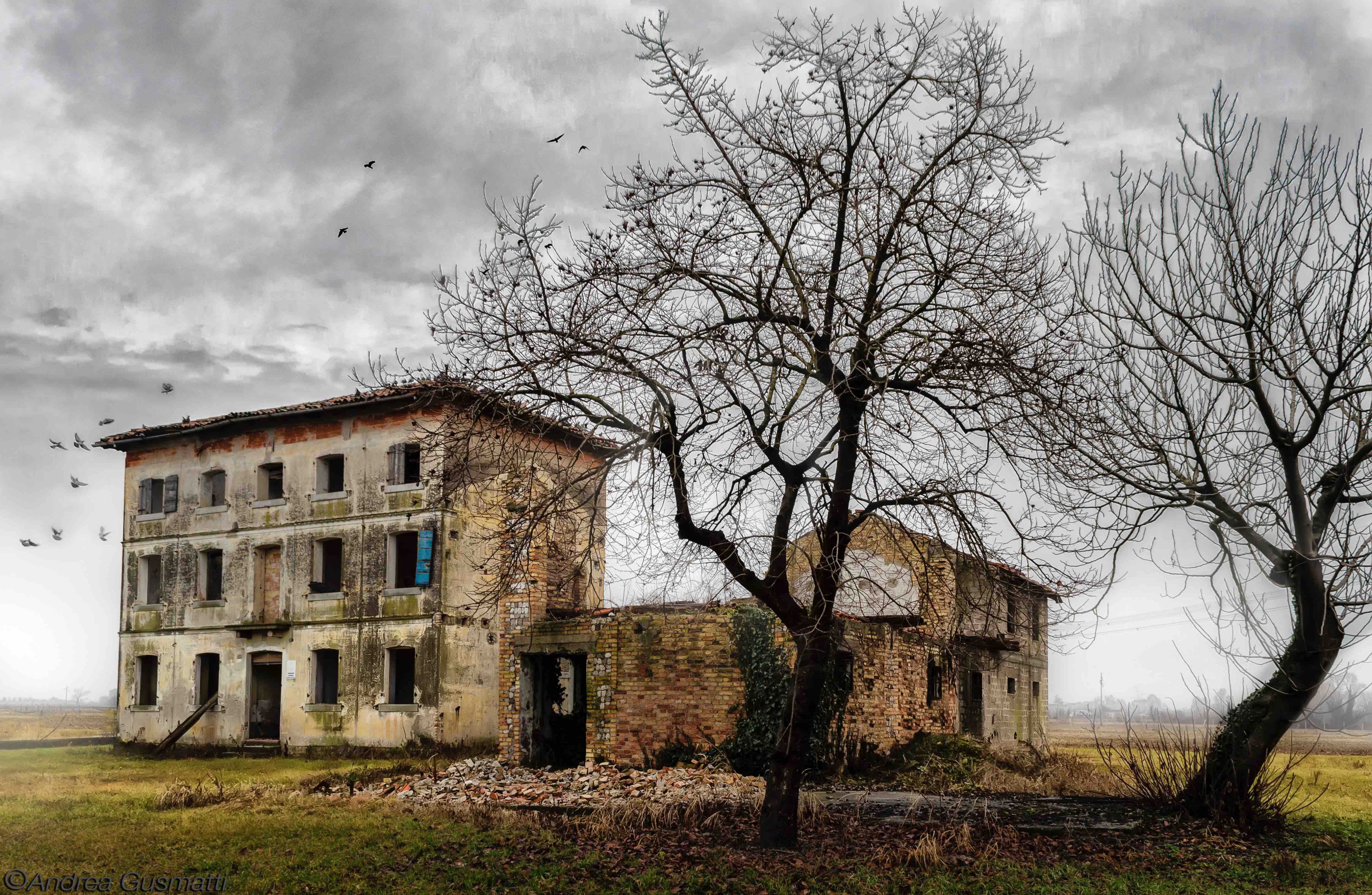 placeholder image-sq