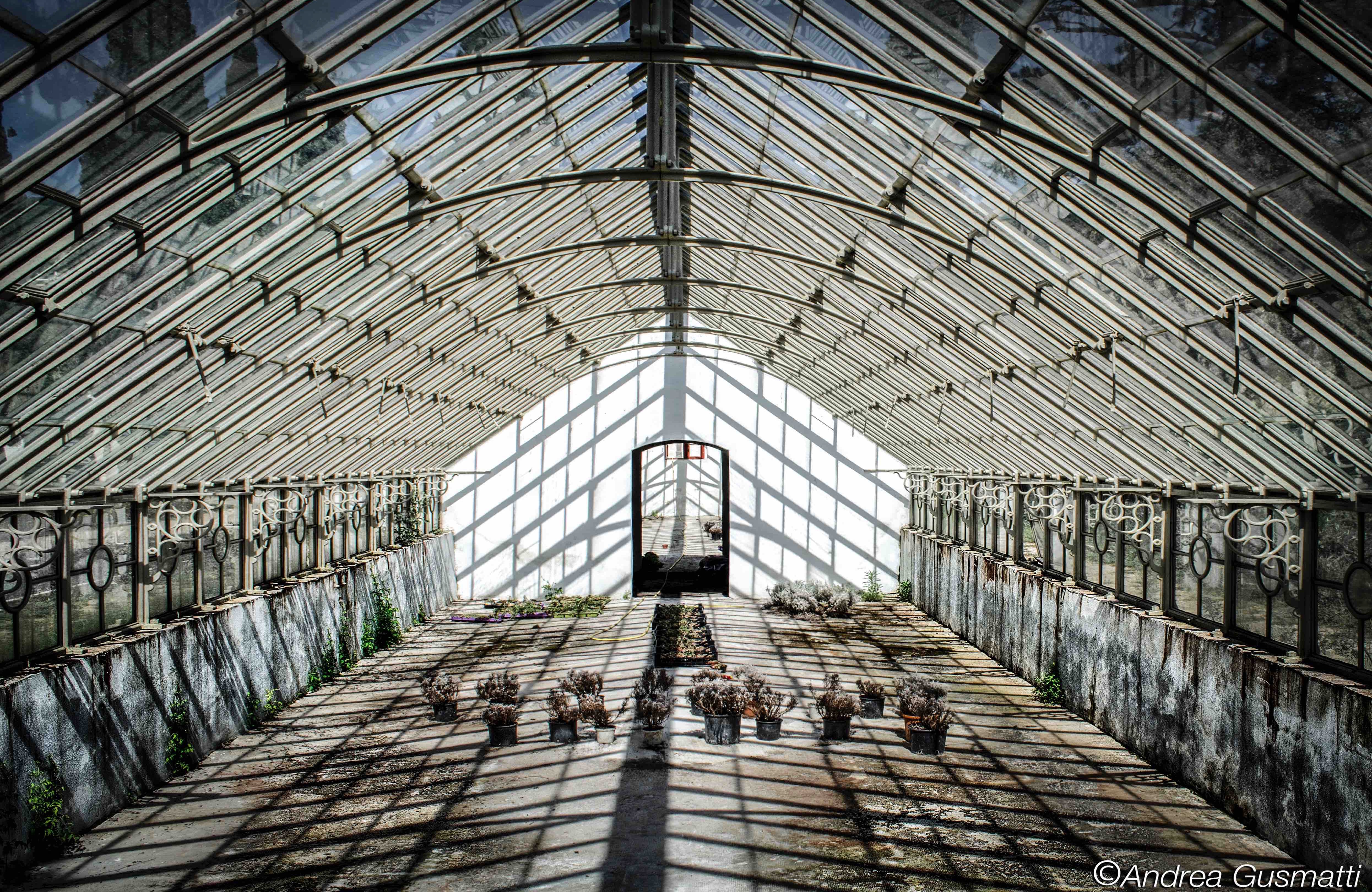 placeholder image-sq