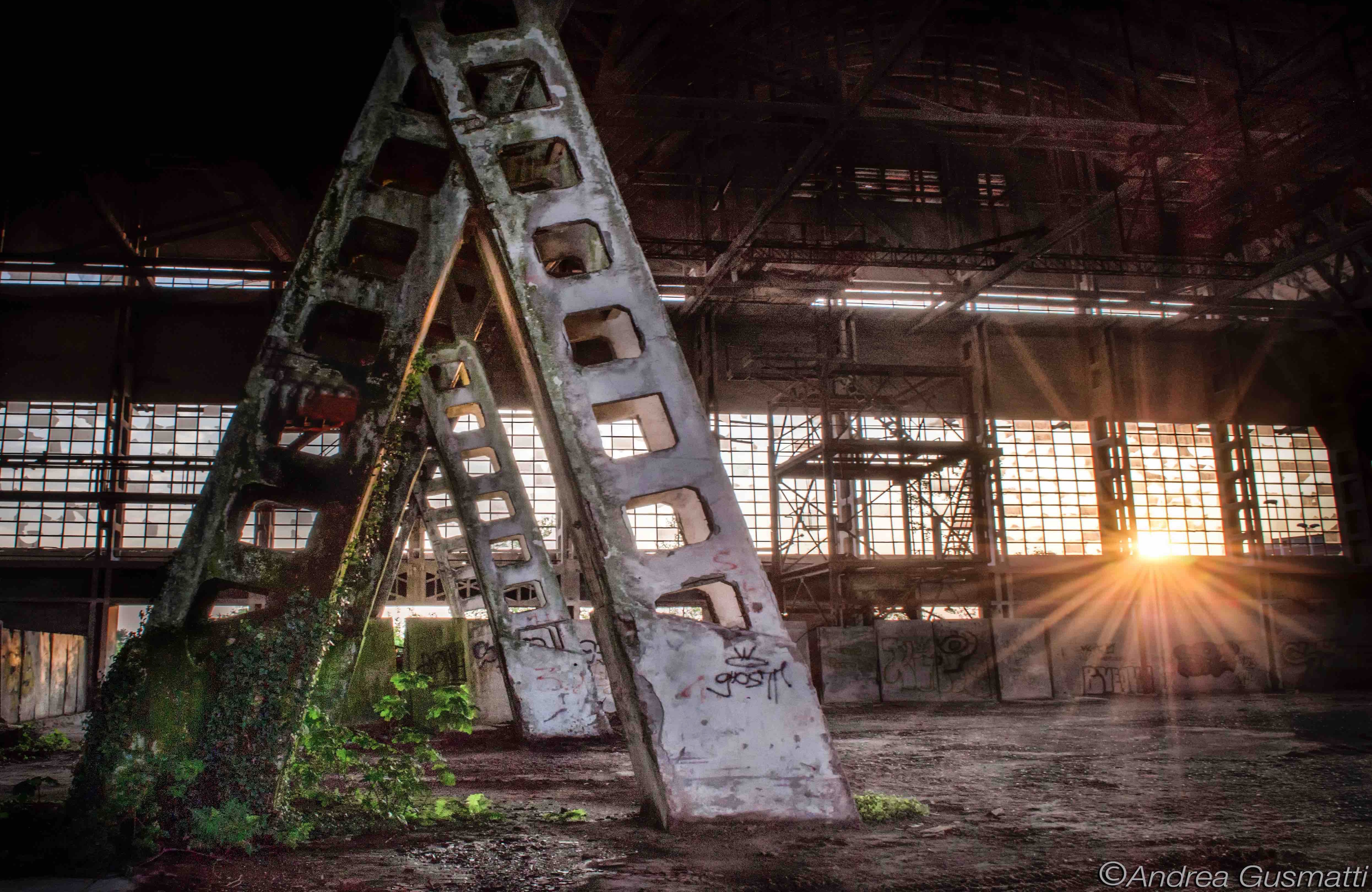 placeholder image-sq