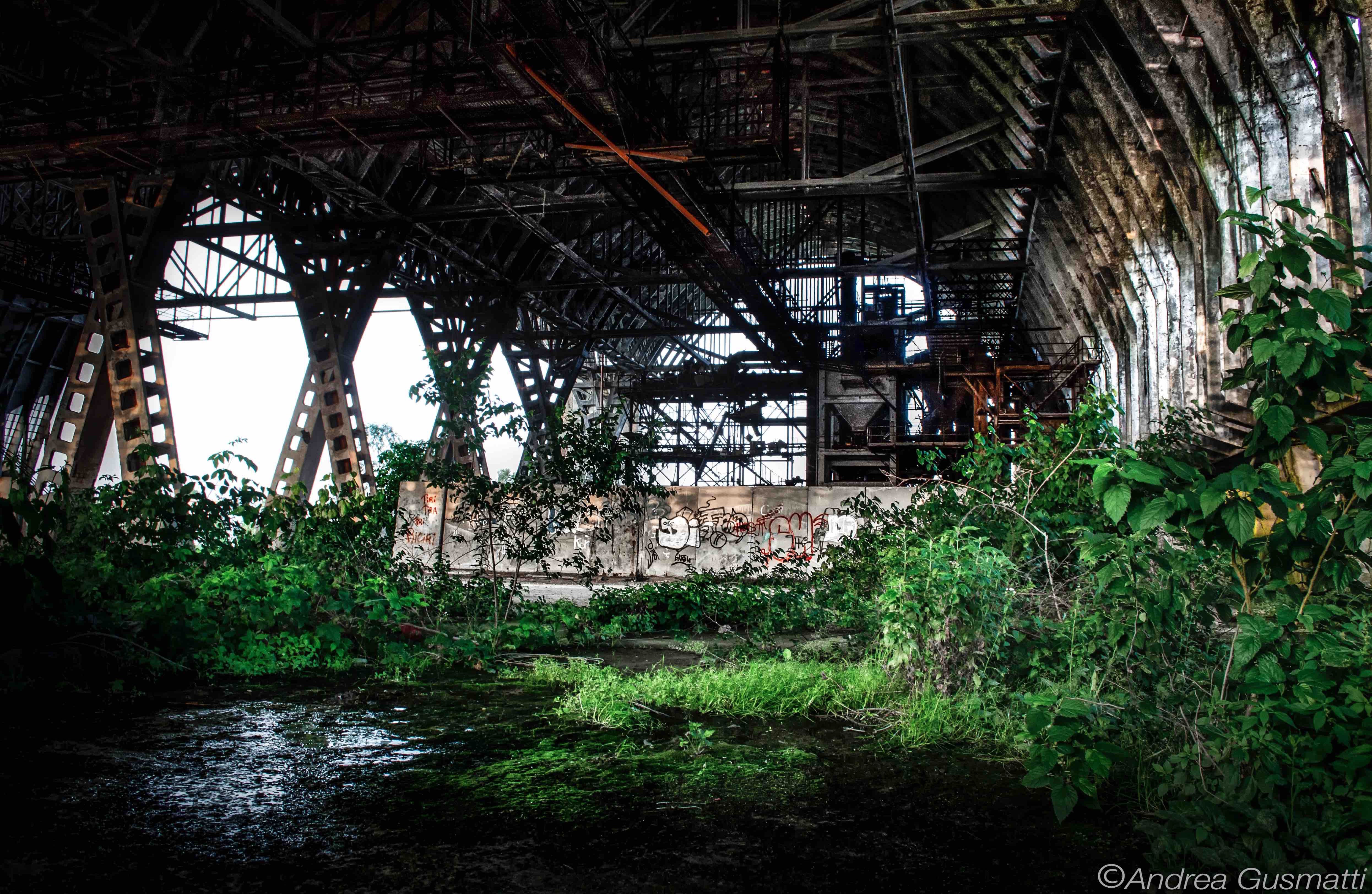 placeholder image-sq