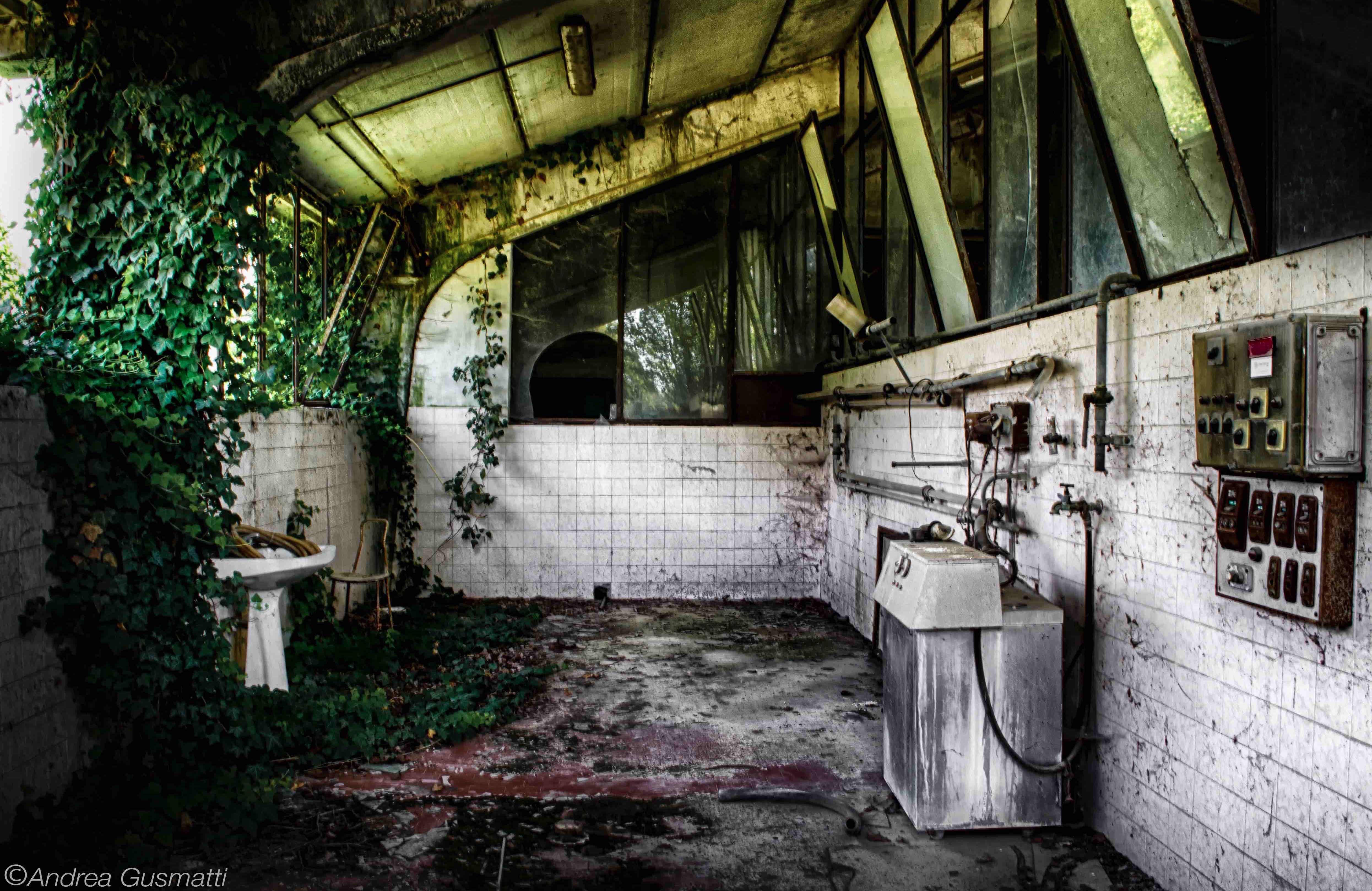 placeholder image-sq